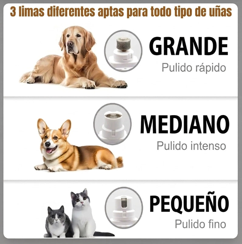 https://cdn.dropmagic.ai/medias/b321f726-4194-473c-9100-cbf9d4fc1b7e.webp